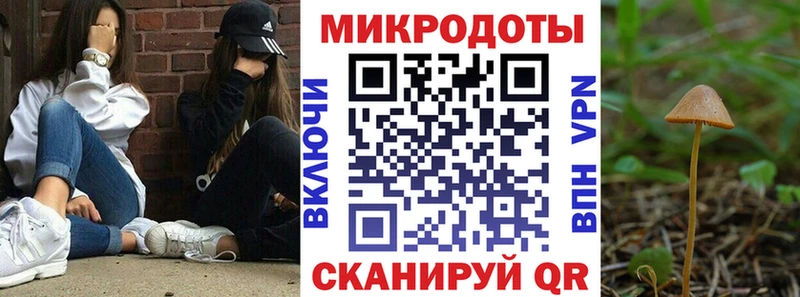 Псилоцибиновые грибы ЛСД  Южа 