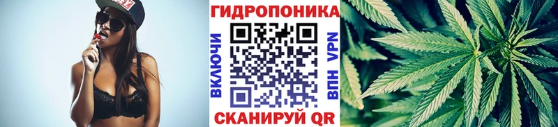 где найти   Южа  Конопля план 